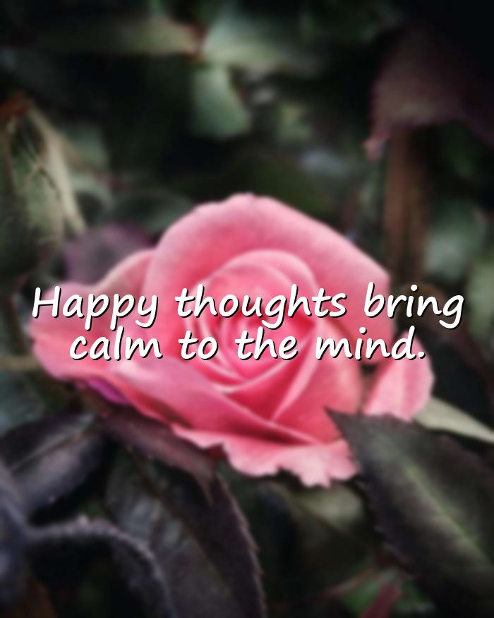happy thoughts - 11