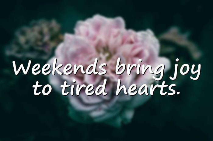 happy weekend quotes - 21