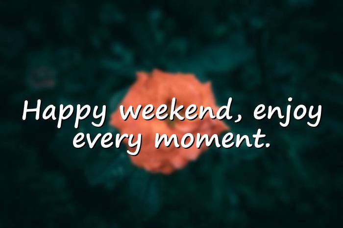happy weekend quotes - 16