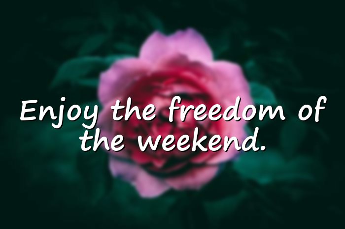 happy weekend quotes - 11