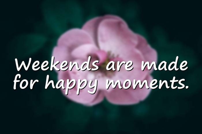 happy weekend quotes - 6