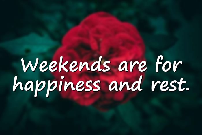 happy weekend quotes - 16