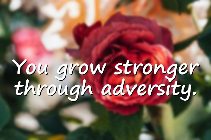 hard times quotes - 1