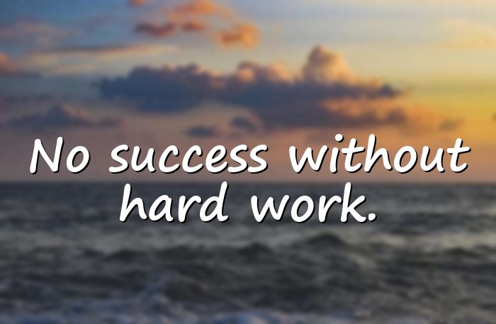 hard work quotes - 16
