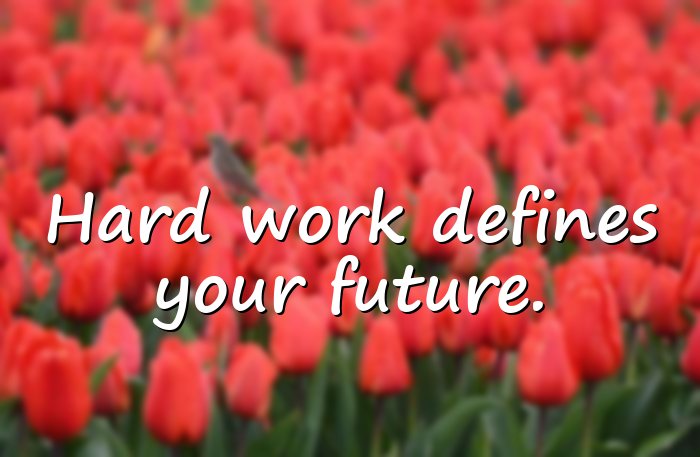 hard work quotes - 11