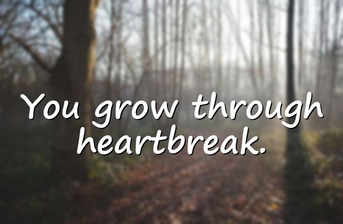 heartbreak quotes - 11
