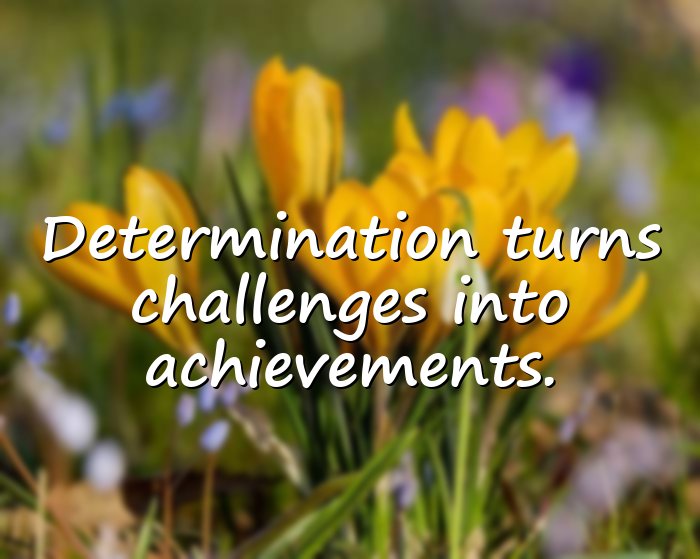 helen keller quotes - 11