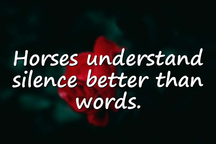 horse quotes - 11