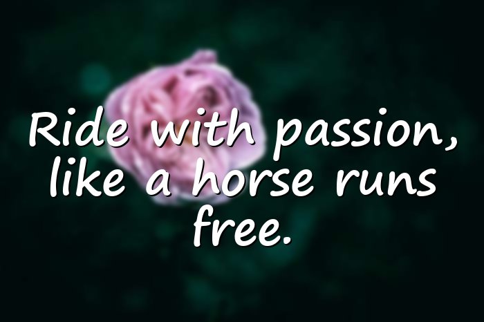 horse quotes - 1