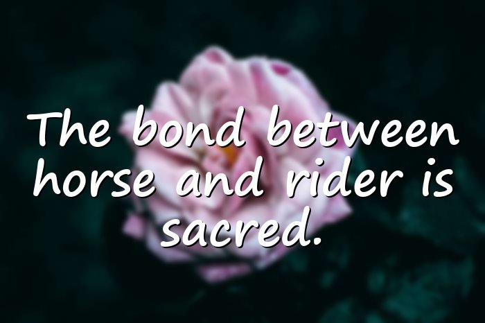 horse quotes - 21