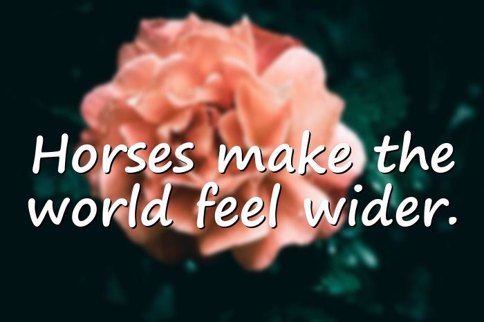 horse quotes - 6