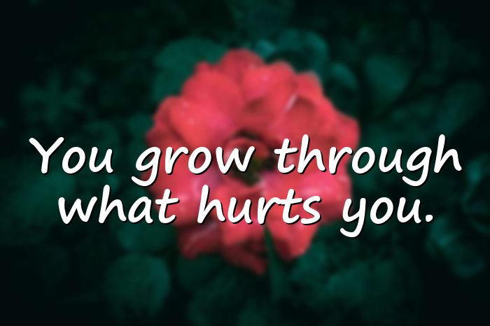 hurt quotes - 11