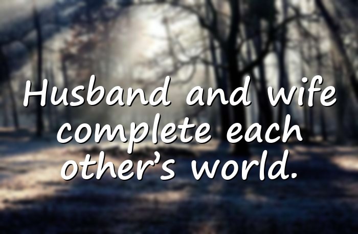 husband and wife quotes - 21