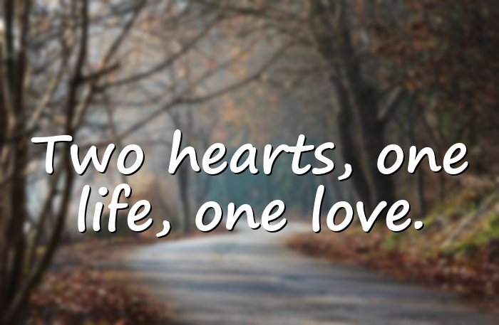 husband and wife quotes - 6
