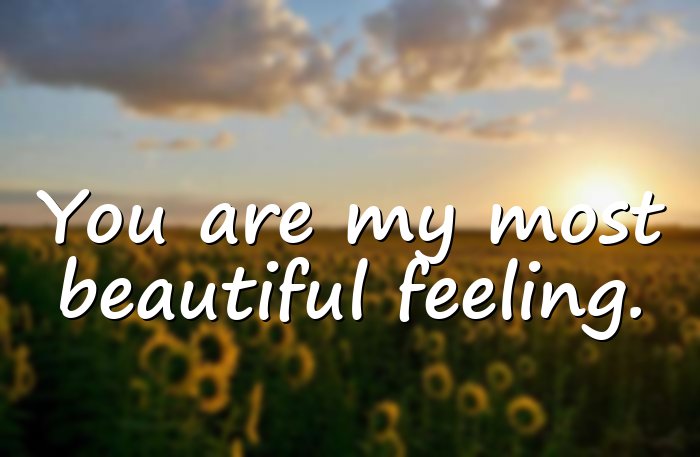 i love you quotes - 21