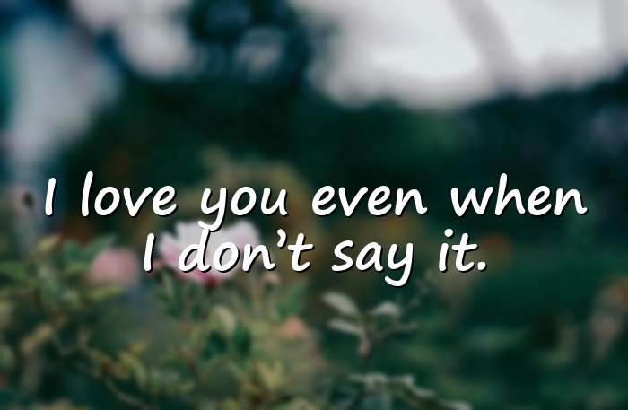 i love you quotes - 11
