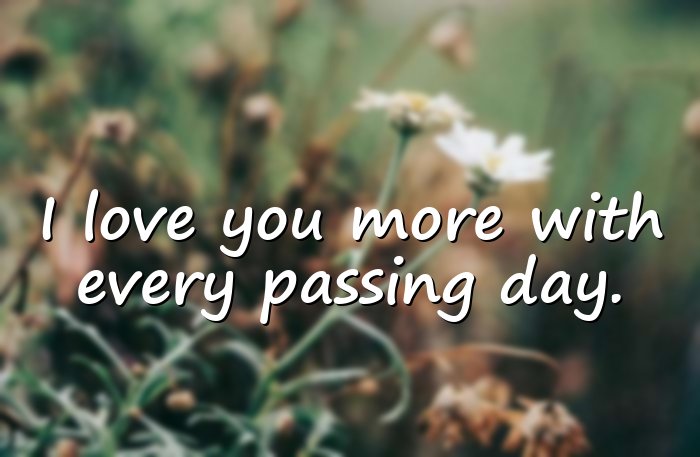 i love you quotes - 6