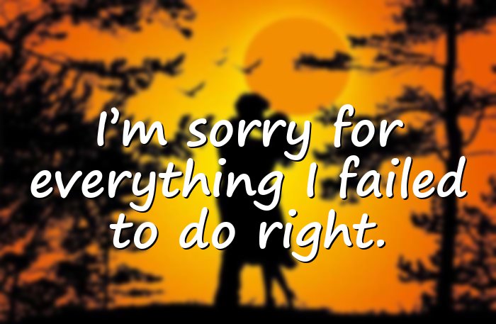 im sorry quotes - 16