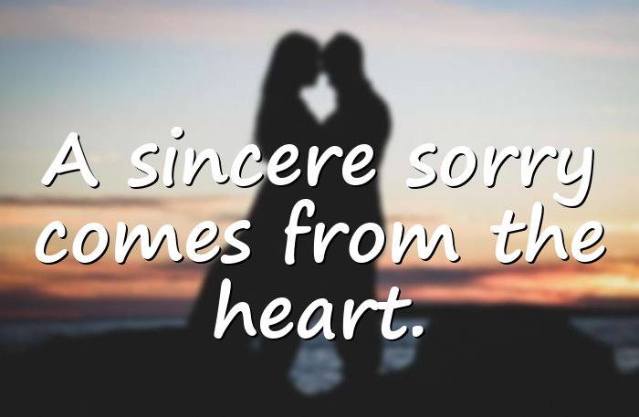 im sorry quotes - 11