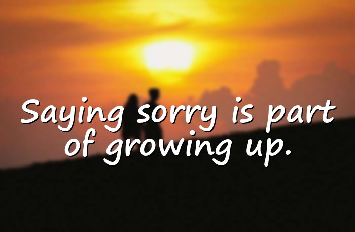 im sorry quotes - 1