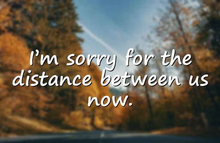 im sorry quotes - 11