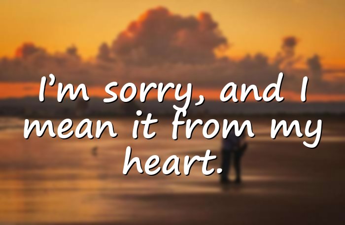 im sorry quotes - 1