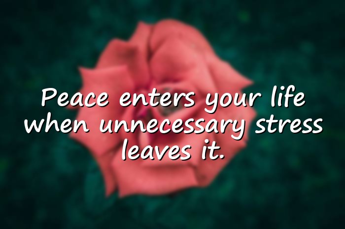 inner peace quotes - 1