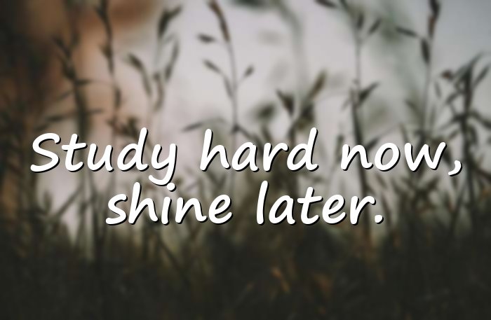 inspirational quotes for students - 21