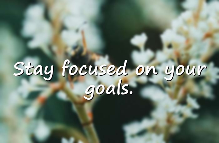 inspirational quotes for students - 11