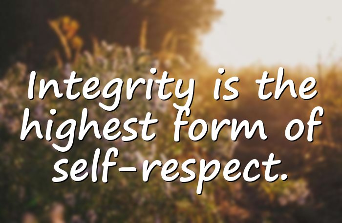 integrity quotes - 16