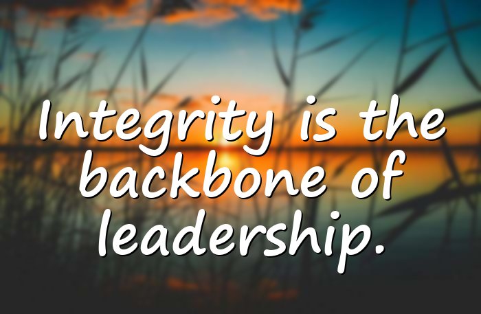 integrity quotes - 16