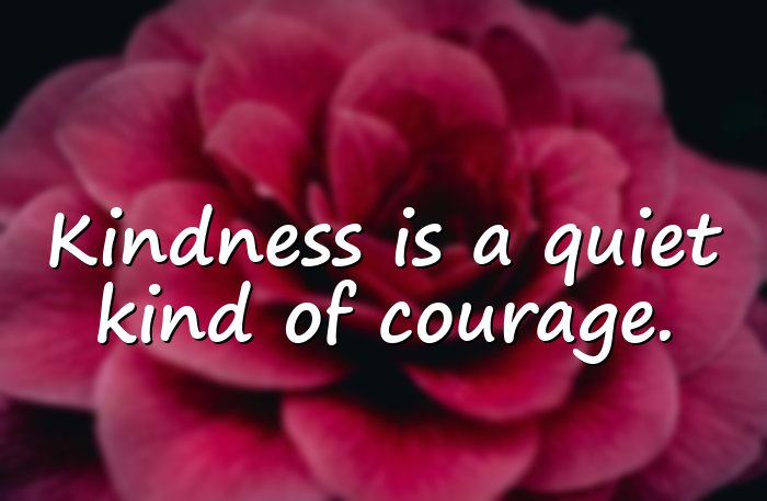 kindness quotes - 11