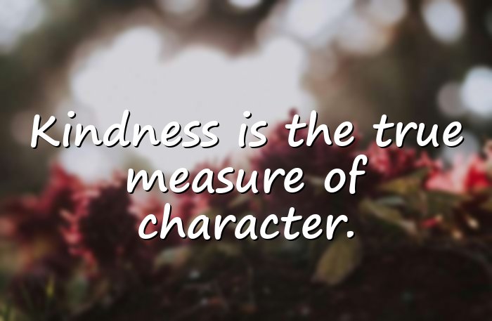 kindness quotes - 6