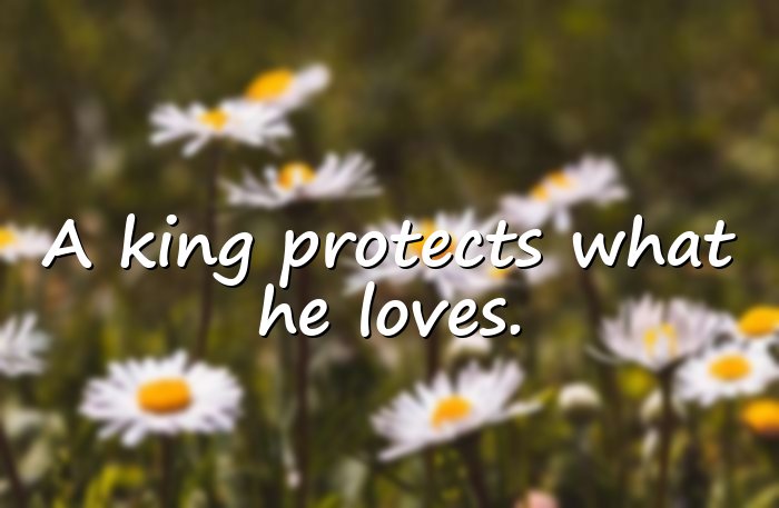 king quotes - 16