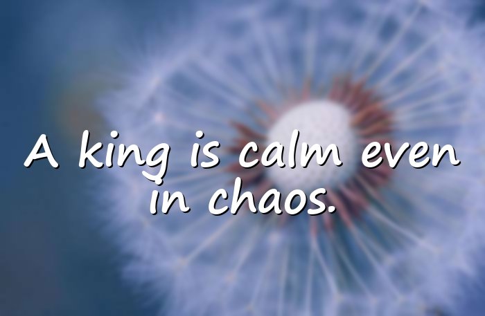 king quotes - 6