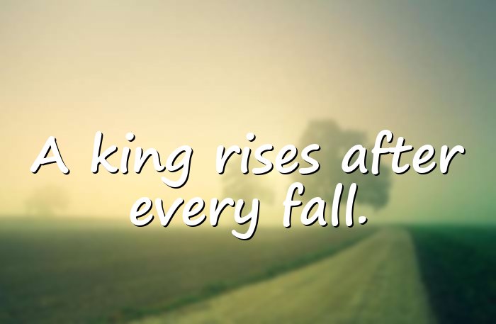 king quotes - 21