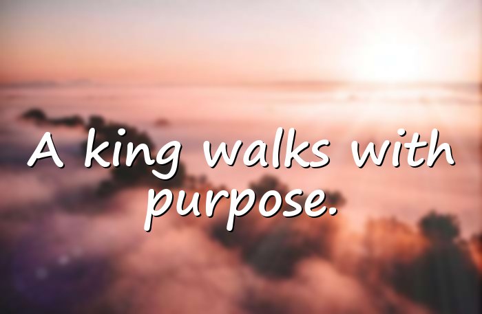 king quotes - 11
