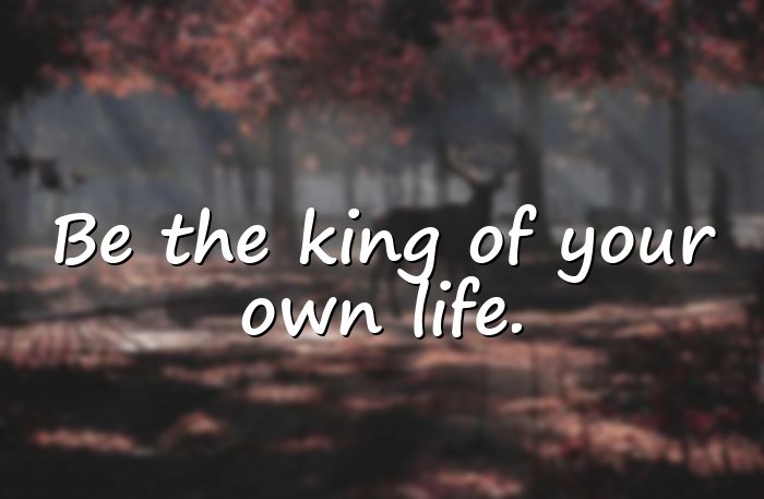 king quotes - 1