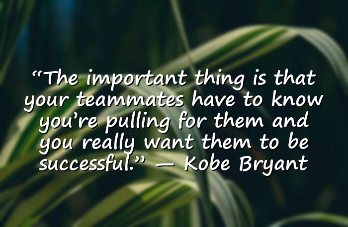 kobe bryant quotes - 16
