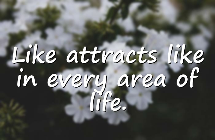 law of attraction quotes - 21