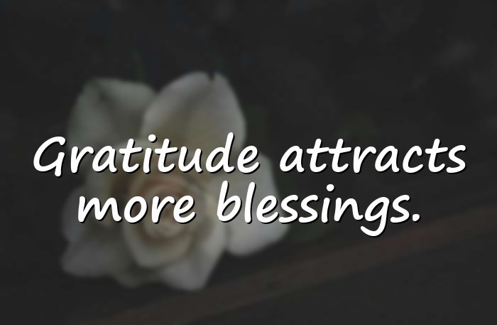 law of attraction quotes - 11