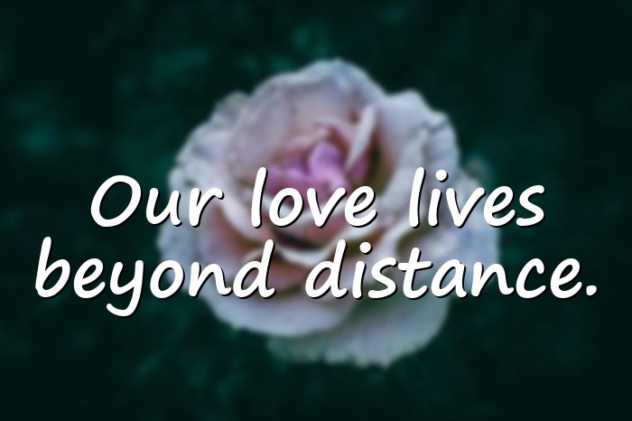 ldr quotes - 21