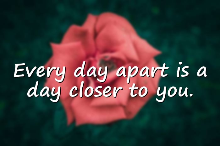 ldr quotes - 6