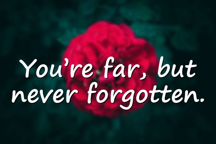 ldr quotes - 1