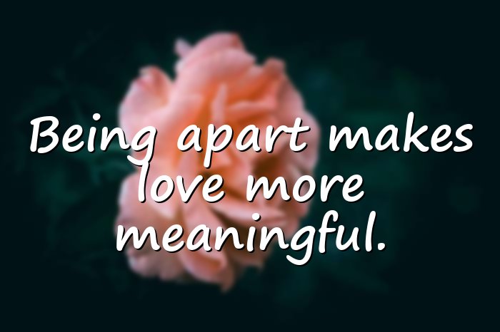 ldr quotes - 21