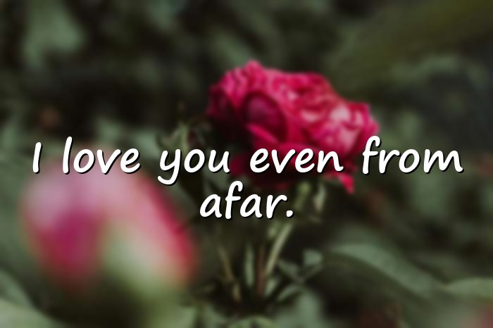 ldr quotes - 11