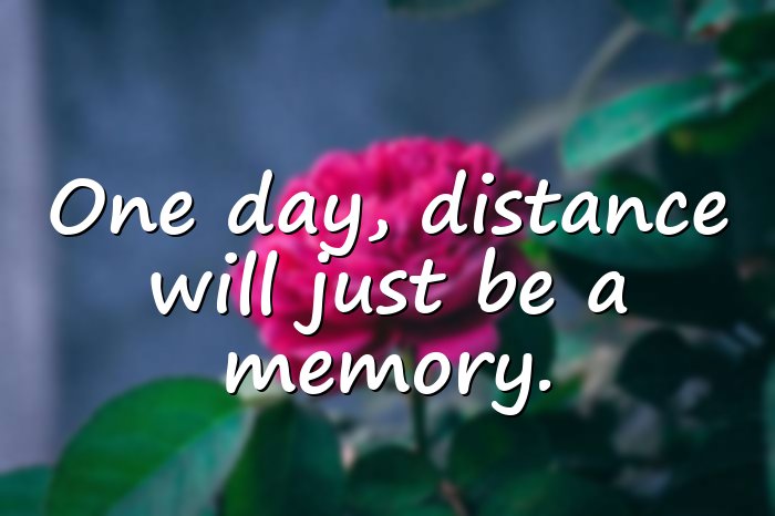 ldr quotes - 6