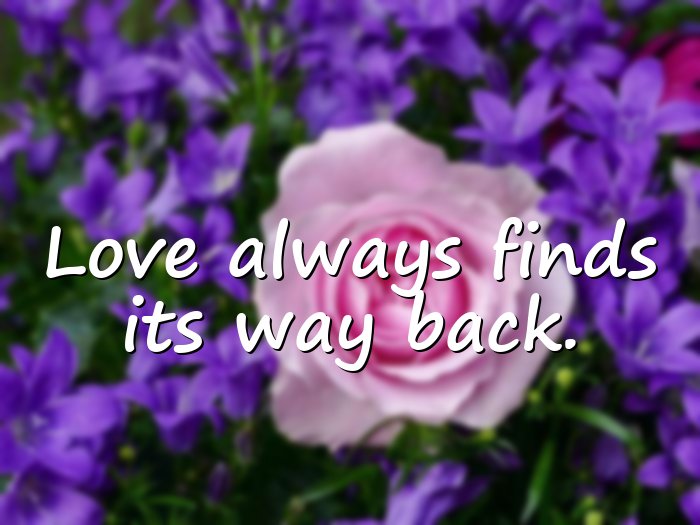 ldr quotes - 1