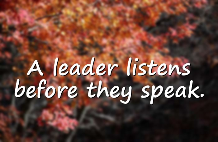 leadership quotes - 21