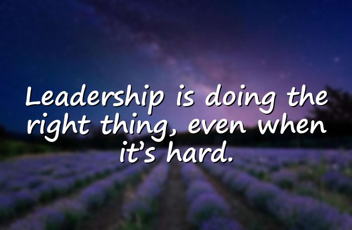 leadership quotes - 16